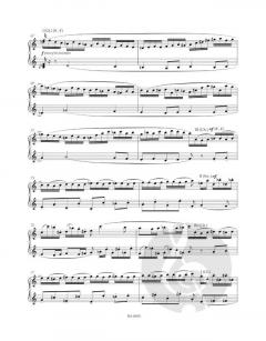 Sämtliche Orgelwerke 2 von Wilhelm Middelschulte im Alle Noten Shop kaufen