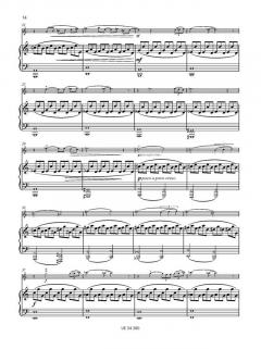 Sonata Nr. 2 für Violine und Klavier von Aleksey Igudesman im Alle Noten Shop kaufen