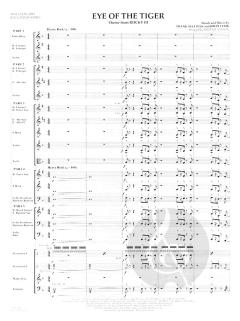 Eye Of The Tiger (Survivor) 