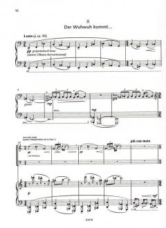 Am Ufer der Vernunft von Enjott Schneider 