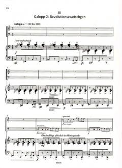 Am Ufer der Vernunft von Enjott Schneider 