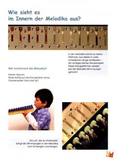 Der kleine Tastenkönig von Karin Schuh 