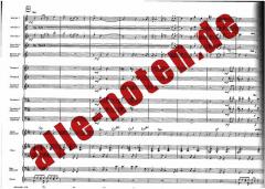 Secret Agent Man von Steve Barri 