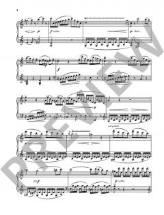 Kadenzen von Wolfgang Amadeus Mozart 