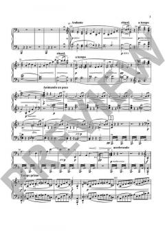 Der fliegende Holländer WWV 63 von Richard Wagner 