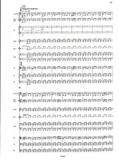 The Enchanted Wanderer von Rodion Konstantinowitsch Schtschedrin 