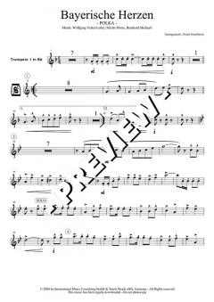 Bayerische Herzen (Original Hofbräuhaus-Festkapelle) 