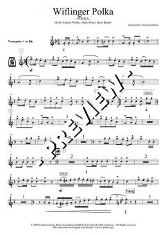 Wiflinger Polka (Original Hofbräuhaus-Festkapelle) 