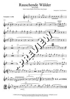 Rauschende Wälder (Original Hofbräuhaus-Festkapelle) 