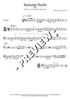 Samstag Nacht von Max Paulinger 