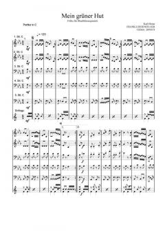 Mein Grüner Hut (Karl-Heinz Frank-Lindenfelser) 