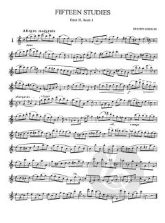 117 Melodious and Progressive Studies for Flute 