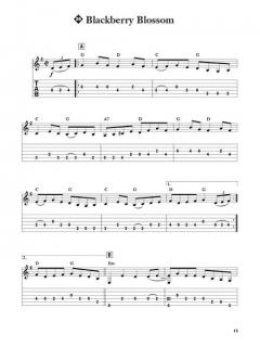 Russ Barenberg Teaches 20 Bluegrass Guitar Solos von Russ Barenberg 