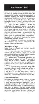 The Ultimate Scale Book von Troy Stetina 