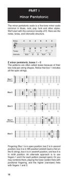 The Ultimate Scale Book von Troy Stetina 
