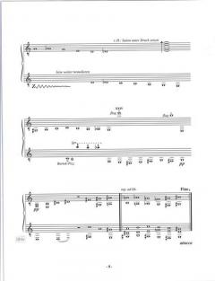 Präfix (Etüdenzyklus für zwei Gitarristen) (1989) 