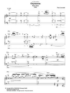 Oxymoron (2006) von Theo Loevendie 