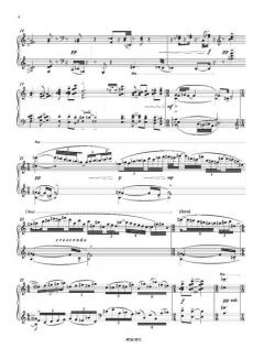 Oxymoron (2006) von Theo Loevendie 