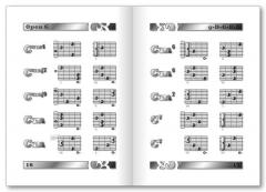 Banjo-Grifftabelle von Jeromy Bessler im Alle Noten Shop kaufen