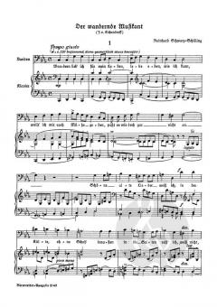 Der wandernde Musikant von Reinhard Schwarz-Schilling 