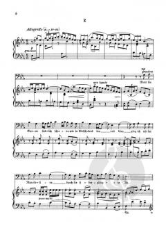 Der wandernde Musikant von Reinhard Schwarz-Schilling 