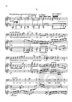 Der wandernde Musikant von Reinhard Schwarz-Schilling 