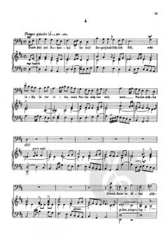 Der wandernde Musikant von Reinhard Schwarz-Schilling 