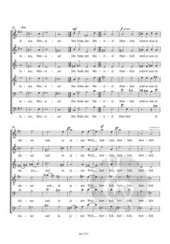 Marienlob: III. Das islamische Marienlob (Heinz Werner Zimmermann) 