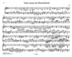 Sämtliche Orgel- und Clavierwerke Band III.2 von Jan Pieter Sweelinck im Alle Noten Shop kaufen