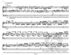 Die großen Partiten von Hugo Distler 