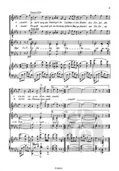 Wer uns getraut (Johann Strauss (Vater)) 