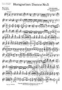 Hungarian Dance Nr. 5 von Johannes Brahms 