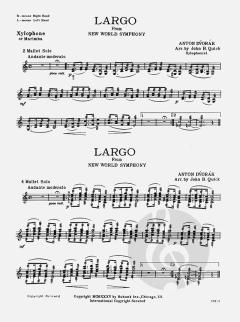 Largo From New World Symphony von Antonín Dvorák 