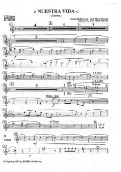 Nuestra Vida von Gerd Römer-Gewaro 