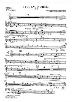 You Know What von Dirk Schweppe 