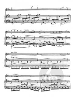 Pour la flute von Claude Debussy für Flöte und Klavier im Alle Noten Shop kaufen (Partitur)