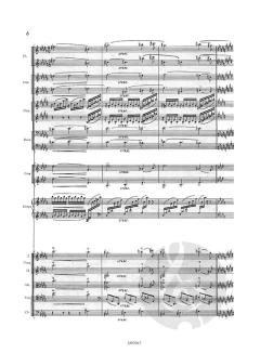 Clair de lune von Claude Debussy für Orchester im Alle Noten Shop kaufen (Partitur)