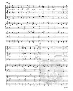 The Creation von Steven Porter 