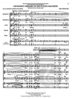 Leonardo Dreams Of His Flying Machine 