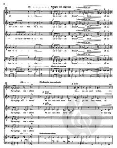 Leonardo Dreams Of His Flying Machine 