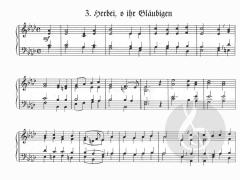 27 Lieder zur Weihnachtszeit 