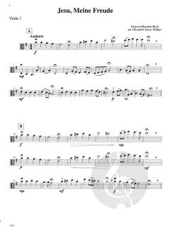 Violas In Concert: Classical Collection Vol. 3 im Alle Noten Shop kaufen