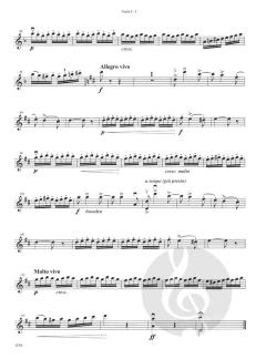 Czardas von Vittorio Monti 