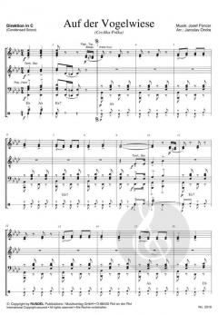 Auf der Vogelwiese (Josef Poncar) 