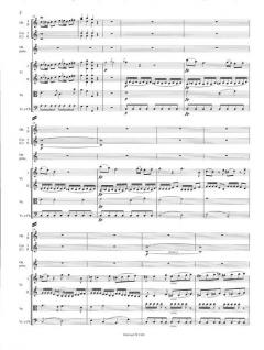 Oboenkonzert C-dur KV 314 (285d) von Wolfgang Amadeus Mozart 