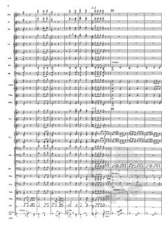 In All Its Glory (James Swearingen) 