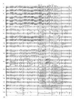 In All Its Glory (James Swearingen) 