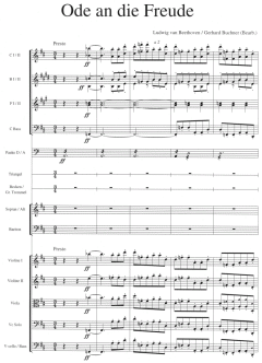 Ode an die Freude von Ludwig van Beethoven 