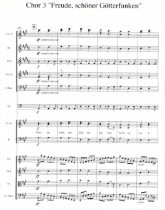 Ode an die Freude von Ludwig van Beethoven 
