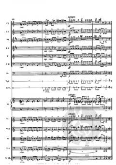 Peter und der Wolf von Sergei Sergejewitsch Prokofjew 